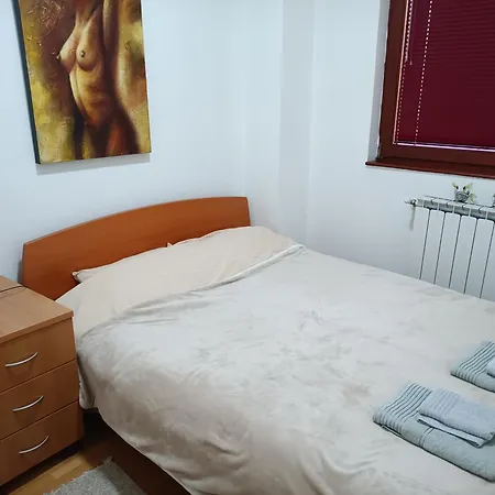 Apartment Centar Aleks