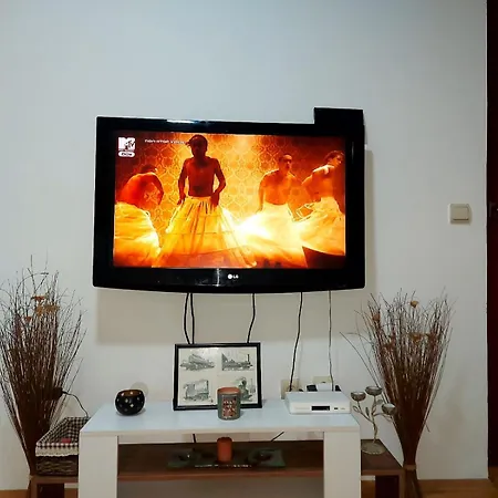 Centar Aleks Apartment *